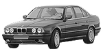 BMW E34 P0064 Fault Code